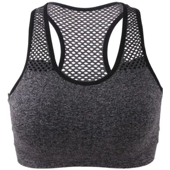 Women Breathable Quick Dry, Sweat Absorbing, Seamless Sports Bra